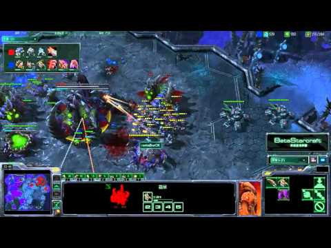 BratOk(T) vs DarkForce(Z) p2/3