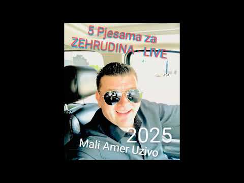 Mali Amer 2025 - ZEHRUDINOVI 5 Pjesama - (Uzivo Audio) - COVER