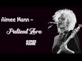 Going Through the Motions-Aimee Mann-Premier hits roundup for 2024-Interconnected