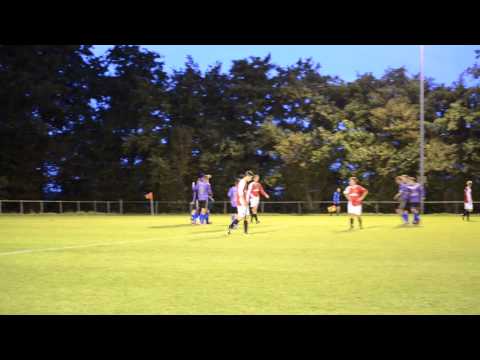 sv DFS - Wemeldinge Beker 3-0 (18-08-'14)