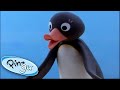 Pingu And The Mix Up Pingu Official Channel