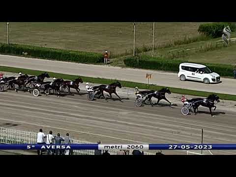 Aversa trotto 27 Maggio 2023 - 5° Corsa