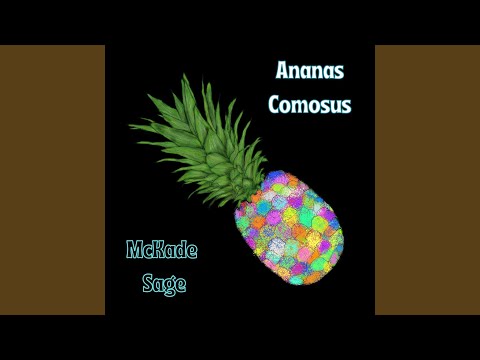 The Tale of Two Guitars