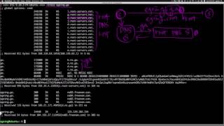 Linux - Domain 5 : DNS principle