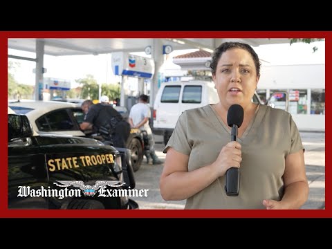 RIDE ALONG: Nabbing illegal immigrants for Alligator Alcatraz