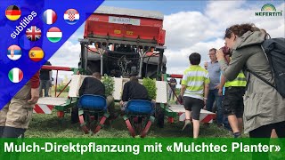 Planting vegetable seedlings mechanically in a mulch cover with the Mulchtec-Planter