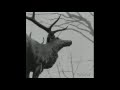 Agalloch - A Desolation Song (lyrics)