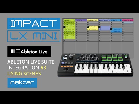 3.Using Scenes in Ableton Live Suite - LX Mini DAW integration