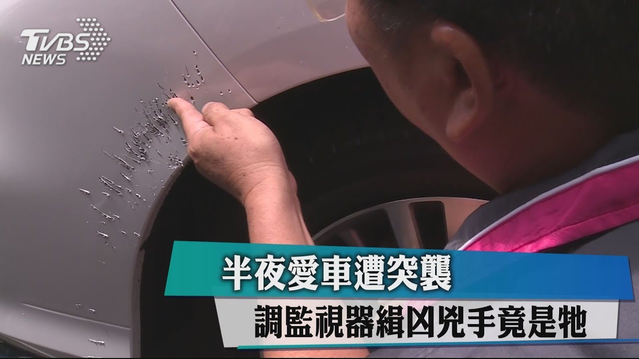 半夜愛車遭突襲 調監視器緝凶兇手竟是牠