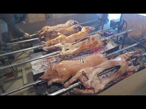 Bacina, badnji dan 2019. godine