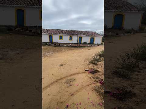 CASARÃO DA FAZENDA CARNAÚBA TAPEROÁ PARAÍBA #shorts