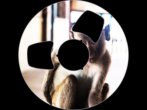 Tim Deetakt - Alien Rain (Original mix)