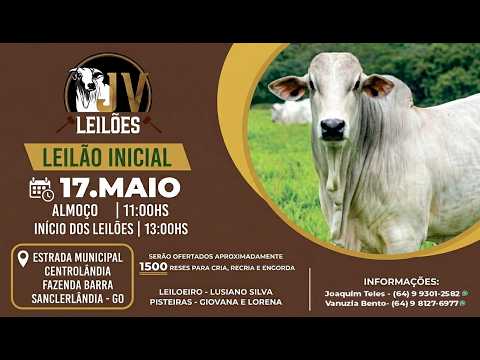 JV LEILÕES - AO VIVO / LEILÃO INICIAL - 17/05/2026 / SANCLERLÂNDIA - GO