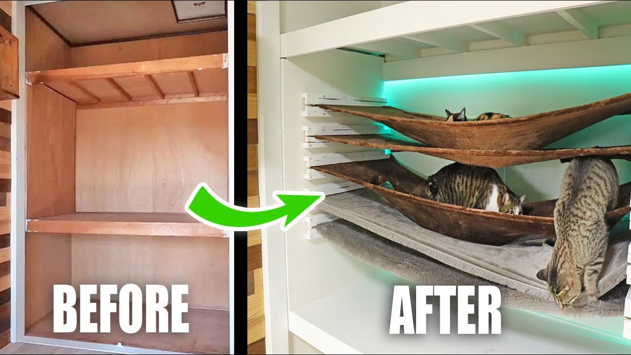 Transforming Closet into 5-layer Cat Hammock with Tunnel