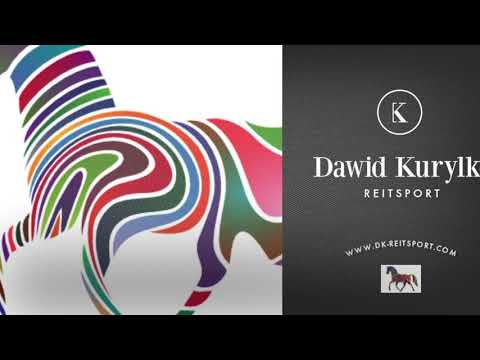 Kurylko Reitsport - Rehabilitation einer Zuchtstute - Part I