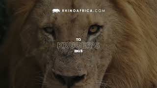 See the Best of Spectacular Southern Africa