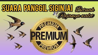 Download lagu suara walet | suara panggil walet Siginjai bertuah| suara panggil walet jernih tanpa noise mp3 Download lagu suara walet | suara panggil walet Siginjai bertuah| suara panggil walet jernih tanpa noise mp3