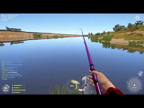 Russian Fishing 4 Tips and Tricks to using a Bolognese Rod/Rig with spot at Akhtuba as example