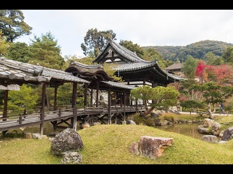 高台寺　紅葉の京都を楽しむ　Kodaiji Autumn Leaves, Kyoto [4K60p]