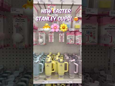 OMG! We Hit the Stanley Cup JACKPOT! #shorts #stanley #stanleycup