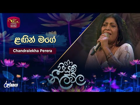 Lagin Mage | ළඟින් මගේ | Chandralekha Perera | Piyum Neela Vila | Roo Tunes