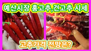 충남예산 고추시장 홍고추,건고추 가격,시세 앞으로 가격 전망은?