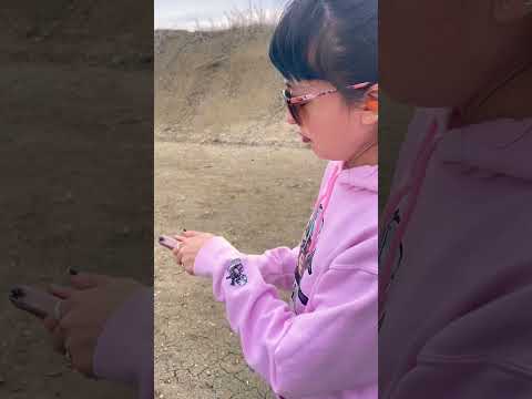 Is the Ruger LCP 380 the Best Budget Gun? Review \u0026 Disassembly