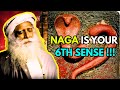 Sadhguru Explains The Mystical Secrets Of Nagas Nag Panchami 2025 Sadhguru