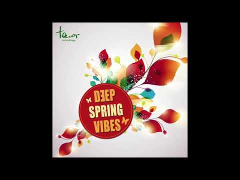 Georg Neufeld - The Deepnes (Feat. Nica Brooks) (Original Mix)