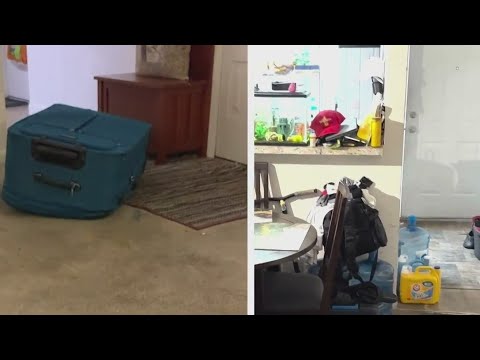 Suitcase murder: Exclusive look inside Sarah Boone's apartment | Banfield