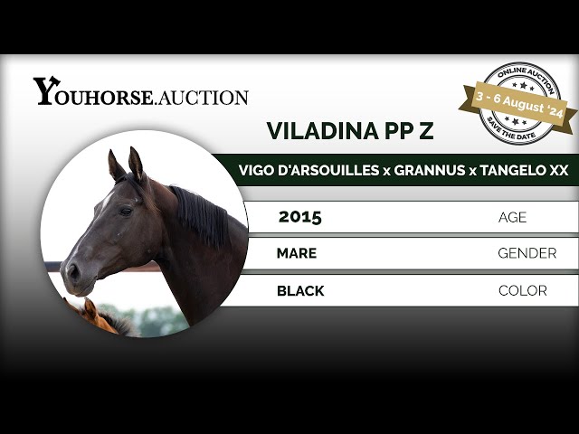 Viladina PP Z