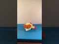 Mattel Fisher Price Chicken Dance Elmo 2003 Plush SEE VIDEO