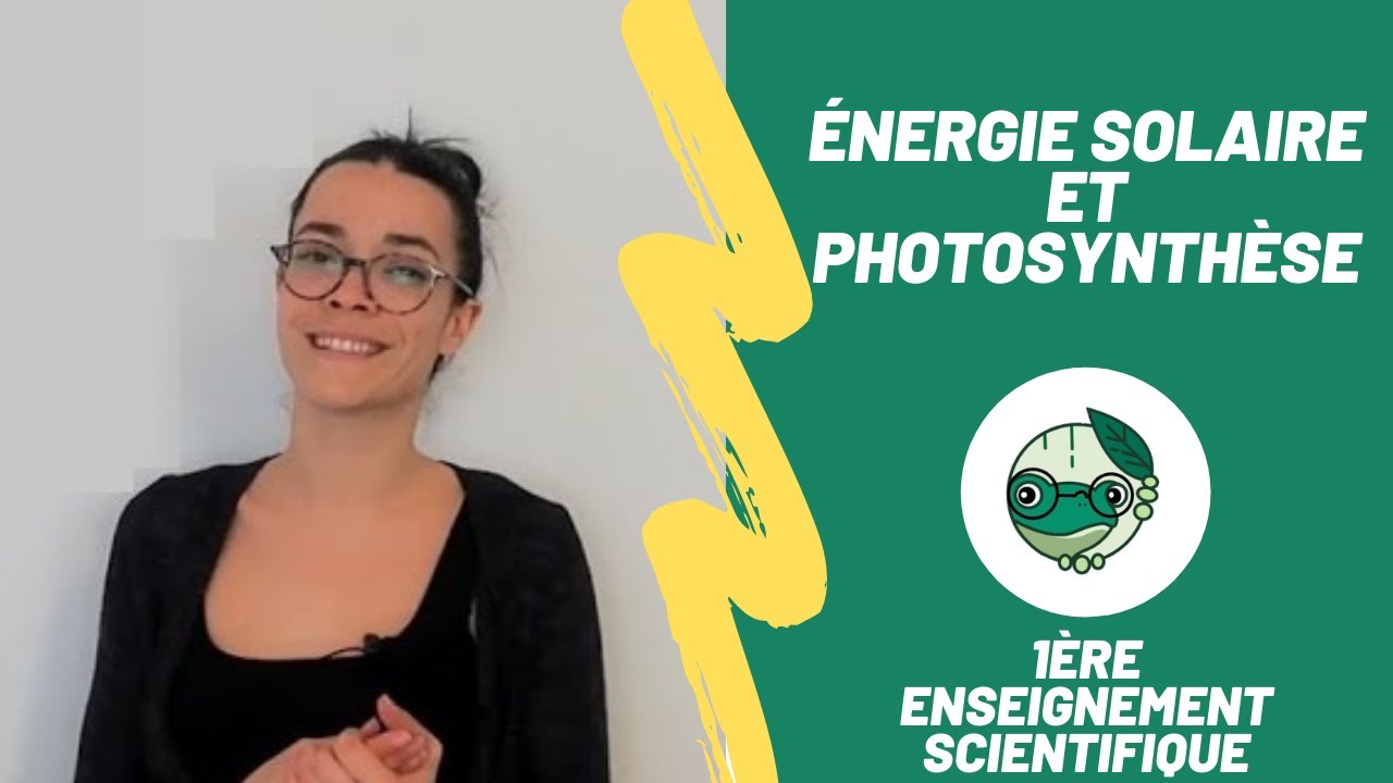 Énergie solaire et photosynthèse - 1ère enseignement scientifique - Madame SVT