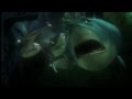 Finding Nemo I Never Knew My Father HD
