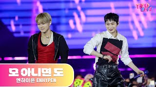 Download lagu ENHYPEN - 모 아니면 도 | 트렌드웨이브 2025 mp3