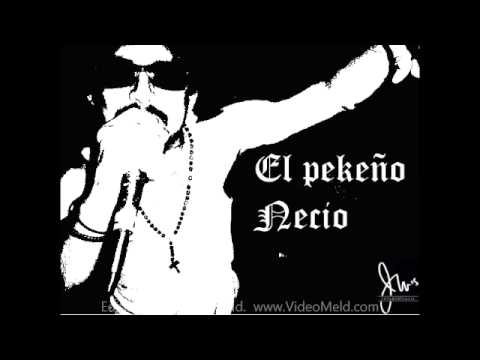 Petrita AFDD - Pequeño Necio