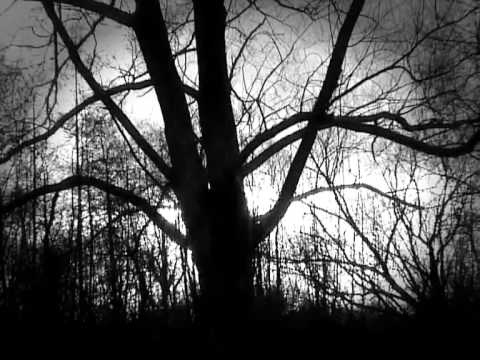 R.Turovsky (arr)  Zakuvala Zozulen'ka (lute)