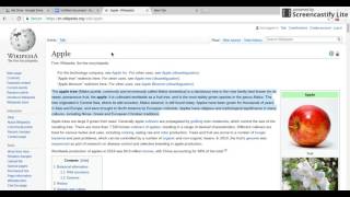 How To Copy and Paste on Google Docs (English)