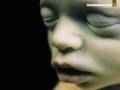 Rammstein-teir 