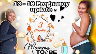 Weeks 13-16 PREGNANCY Update NO CRAVINGS! | 2nd Trimester + Bump SIZE