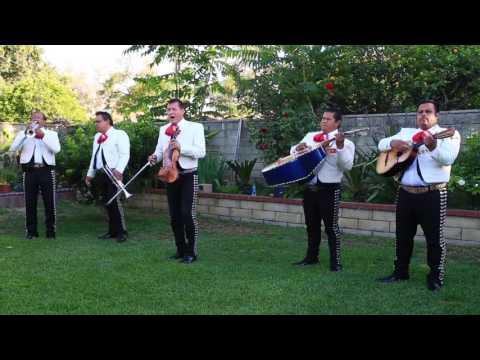 download lagu mp3 mp4 Mariachi Tequila, download lagu Mariachi Tequila gratis, unduh video klip Mariachi Tequila