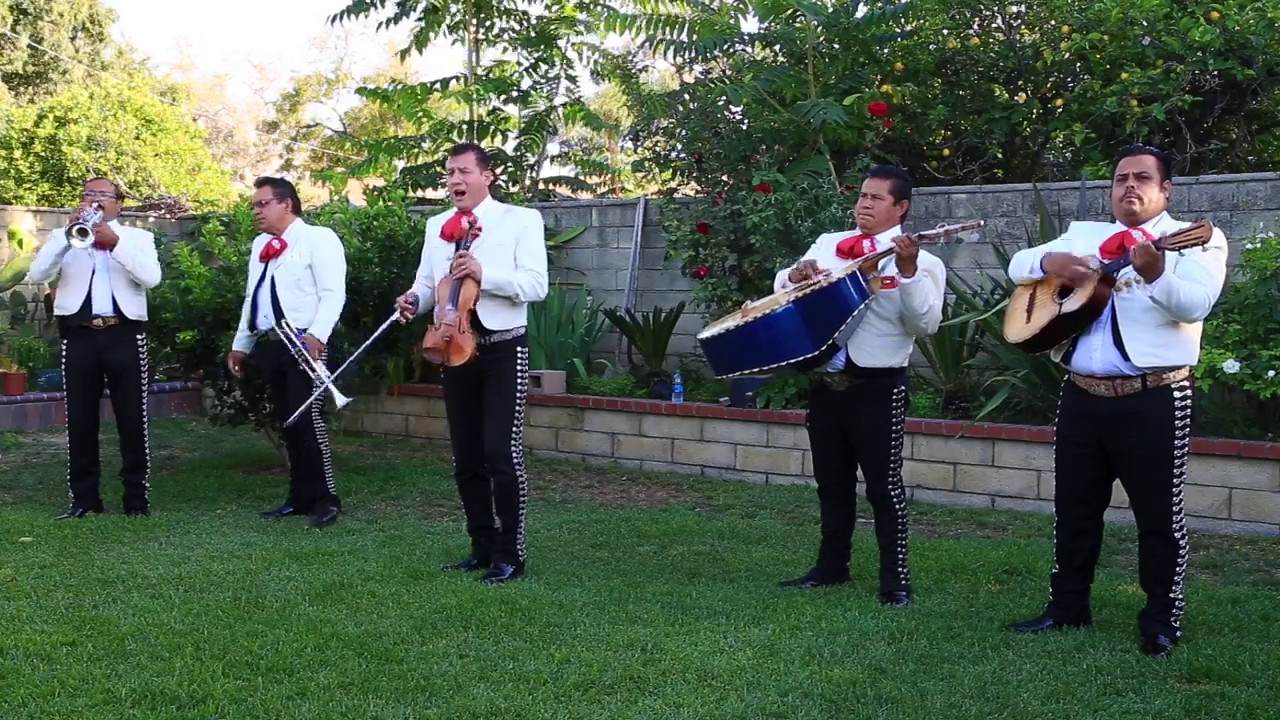 Promotional video thumbnail 2 for Mariachi Tequila Express