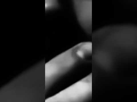 Tal greazy freestyle 2023