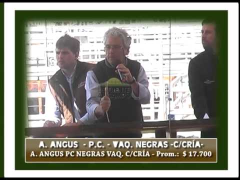 DE FRENTE AL CAMPO junto al 7° REMATE ANUAL de CABAÑA "MAYACO"