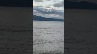 Download lagu Muncul kepermukaan 🐊🎥 : urfavboy1807📍Pantai Talise, Palu#hiperpalu #buaya #pantaitalise mp3