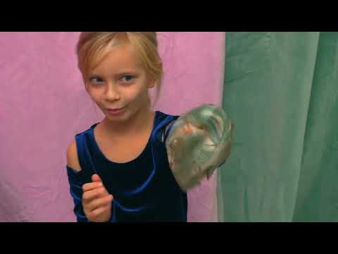 Lotta buskul ny musik