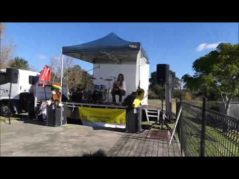 DAN DEMOS  - "Forest Grooves " (2019)