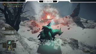＃１５ 【ARPG/PS5】ELDEN RING -エルデン リング- 星見