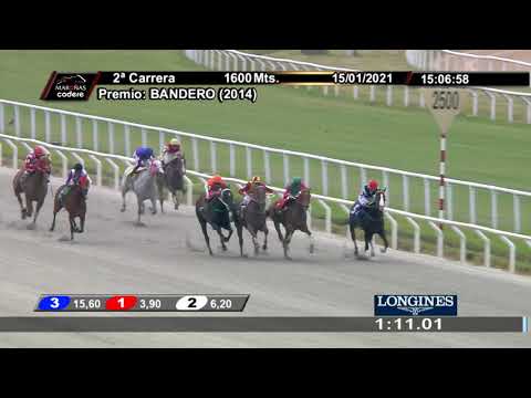 210115 c02 MY BIG QUEEN