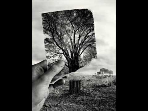 Khi tôi về Sheet - Ngọc Minh